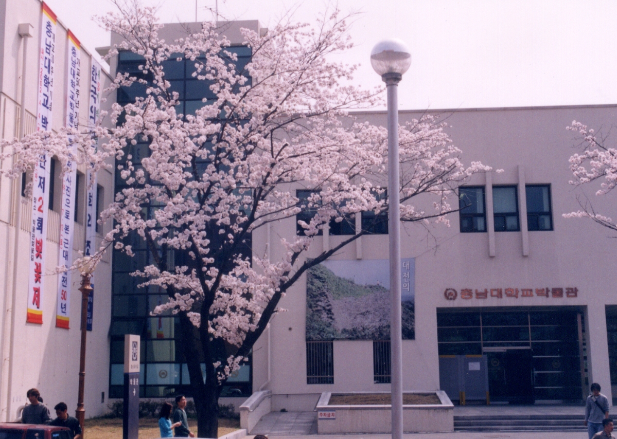 2002 충남대학교 박물관 제2회 벚꽃제